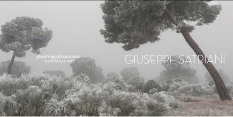 Cover Photosatriani Pocket Book