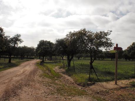 Colaboraciones de Extremadura, caminos de cultura: Convento de la Luz, en Alconchel, en la Lista Roja del Patrimonio