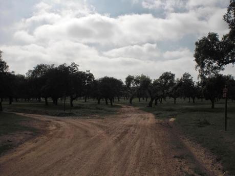 Colaboraciones de Extremadura, caminos de cultura: Convento de la Luz, en Alconchel, en la Lista Roja del Patrimonio