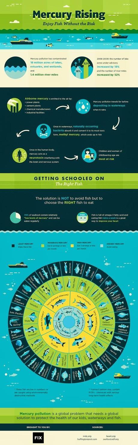 Mercurio y peces #Infografía #Salud #Alimentación Mercurio y peces #Infografía #Salud #Alimentación