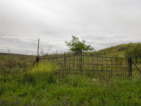 Colaboraciones de Extremadura, caminos de cultura: Villa romana de Araya, en Mérida, en la Lista Roja del Patrimonio