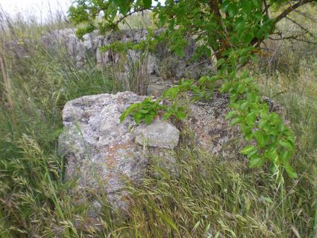 Colaboraciones de Extremadura, caminos de cultura: Villa romana de Araya, en Mérida, en la Lista Roja del Patrimonio