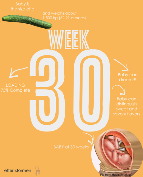 Semana 30 Embarazo | Week 30 Pregnancy