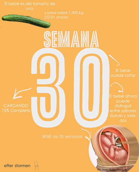 Semana 30 Embarazo | Week 30 Pregnancy