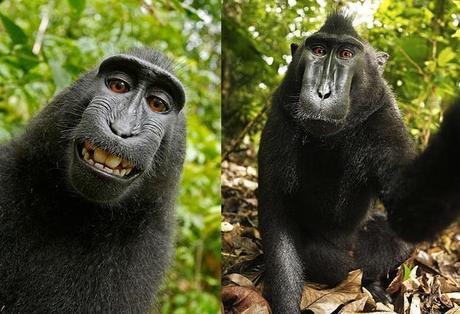 Los selfies, nuestra nueva pasión narcicista