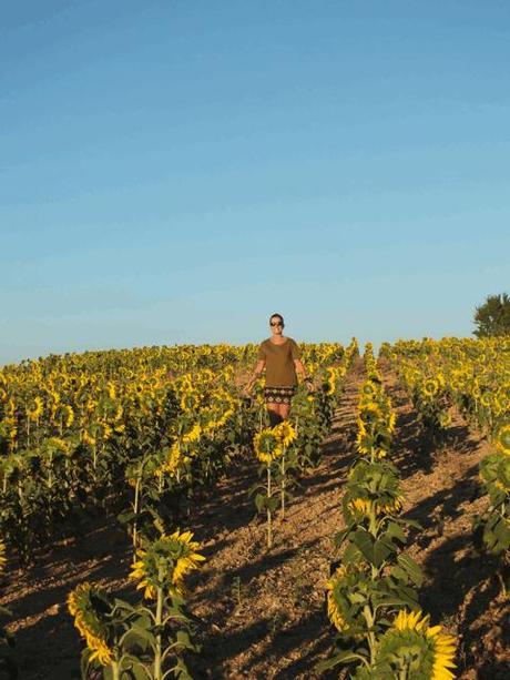 EGUZKILORE EGUZKILORE