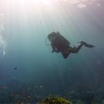 Mar Rojo Junio 2014 (Día 4) DSC00270