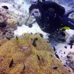 Mar Rojo Junio 2014 (Día 4) DSC00117