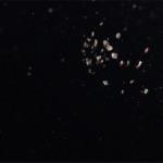 Mar Rojo Junio 2014 (Día 4) DSC00323