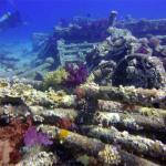 Mar Rojo Junio 2014 (Día 4) DSC00243