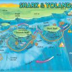 Mar Rojo Junio 2014 (Día 4) shark_and_yolanda_reef