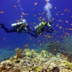 Mar Rojo Junio 2014 (Día 4) DSC00080