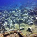 Mar Rojo Junio 2014 (Día 4) DSC00245