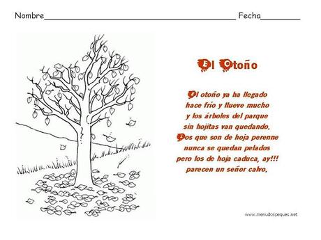 Recursos Otoño