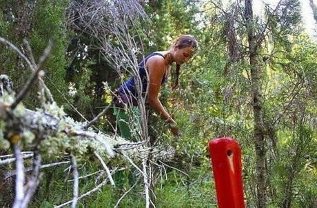 Si eres aventurero, te gustara viajar de esta manera