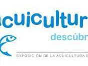 Exposición “¿Acuicultura? Descúbrela” Museo Galicia (Vigo, España)
