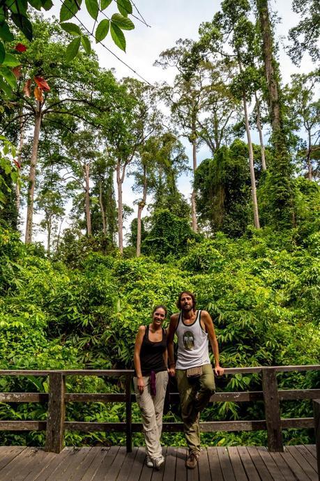 En la reserva de orangutanes, Sepilok