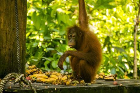 Todo esto es para mí?
