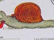 Venenos legal peligros para fauna