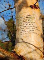 Reseña: El cielo está en cualquier lugar - Jandy Nelson