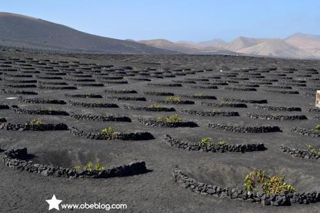 Lanzarote_vinos_entre_volcanes_ObeBlog_07