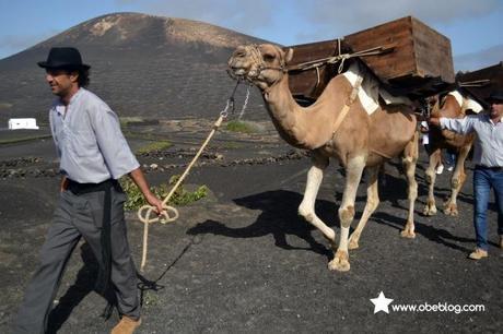 Lanzarote_vinos_entre_volcanes_ObeBlog_04