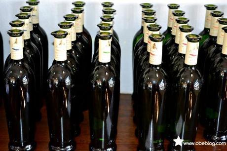 Lanzarote_vinos_entre_volcanes_ObeBlog_03