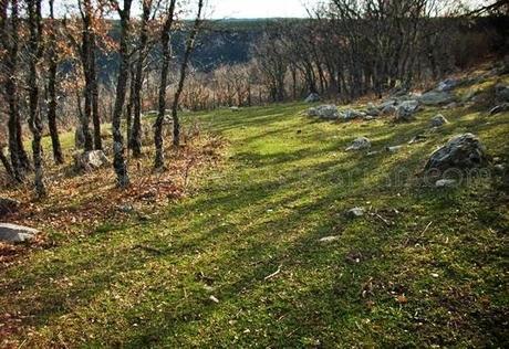 Senderos por la sierra de Albarracín