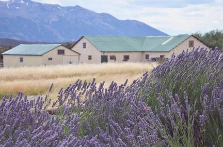 Estancia Patagónica: Nibepo Aike