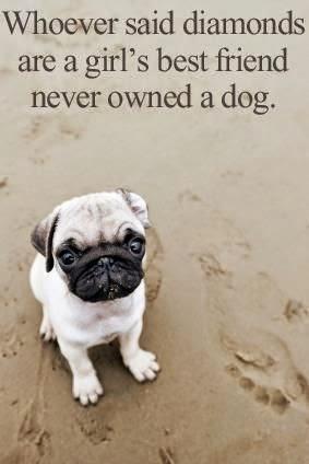 San Viernes y los pequeños momentos de joy