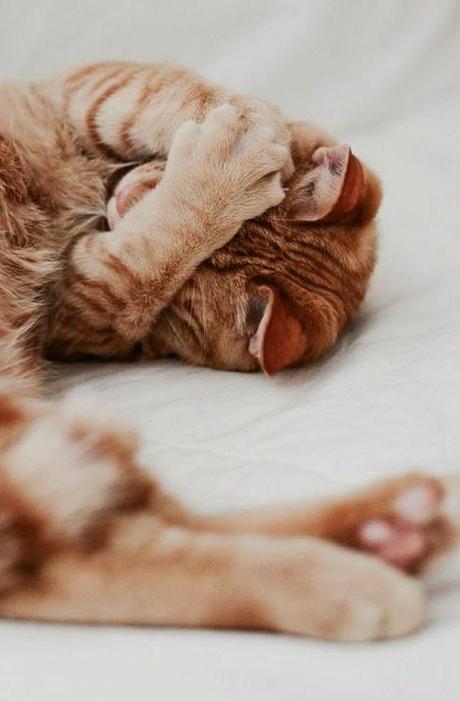 San Viernes y los pequeños momentos de joy