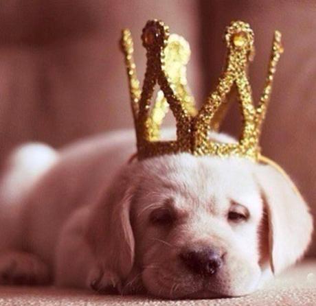 San Viernes y los pequeños momentos de joy