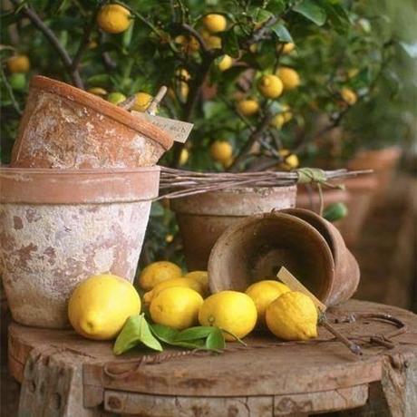 San Viernes y los pequeños momentos de joy