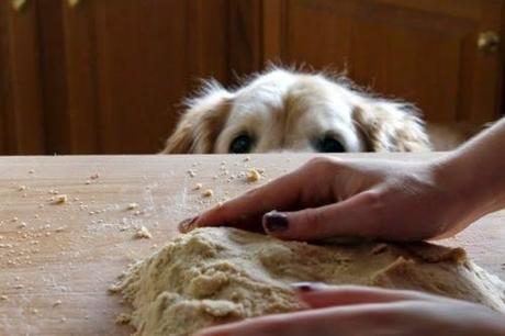 San Viernes y los pequeños momentos de joy