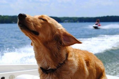 San Viernes y los pequeños momentos de joy