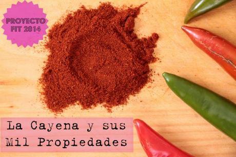 LA CAYENA Y SUS MIL PROPIEDADES LRG Magazine - Proyecto Fit 2014 - Cayena y sus Propiedades1