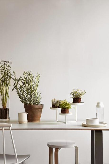 JOTUN: COLORES DE ESTE OTOÑO