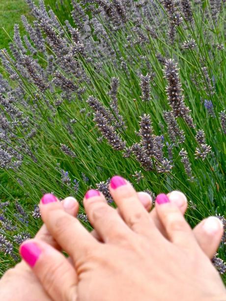FUTURO EAU DE LAVANDA... FUTURO EAU DE LAVANDA...