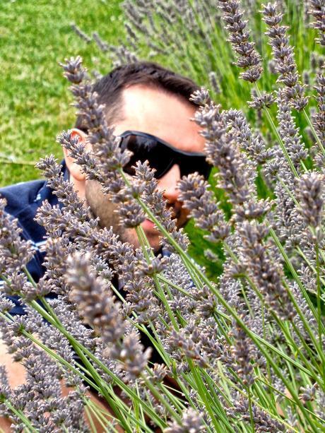 FUTURO EAU DE LAVANDA... FUTURO EAU DE LAVANDA...