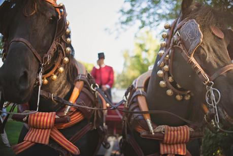 Welcome to Hollywood Nights: Joana&Pablo