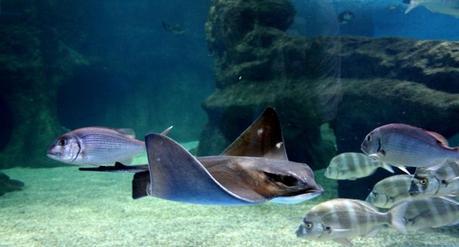 Cosas que hacer y ver en Almería