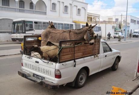 283. Ébola, economía y malaria