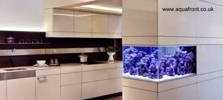 Un acuario integrado al mobiliario contemporáneo en Reino Unido Acuario en cocina moderna