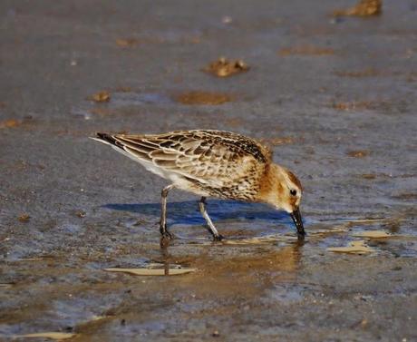 Tranquilidad matinal