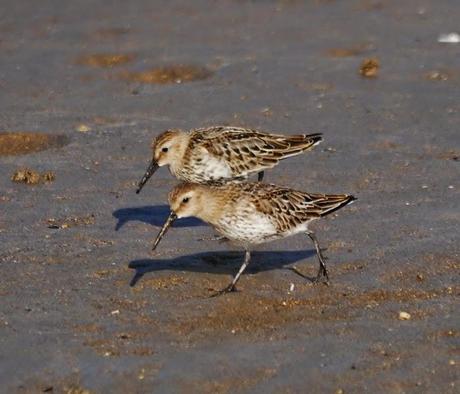 Tranquilidad matinal