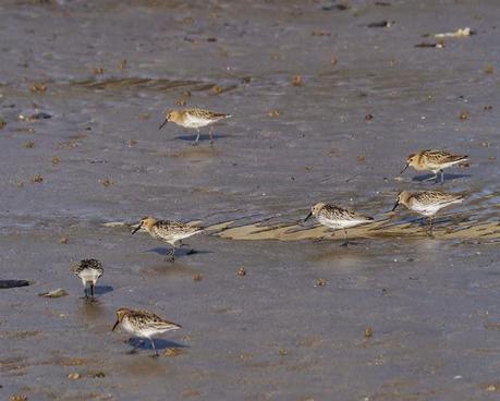 Tranquilidad matinal