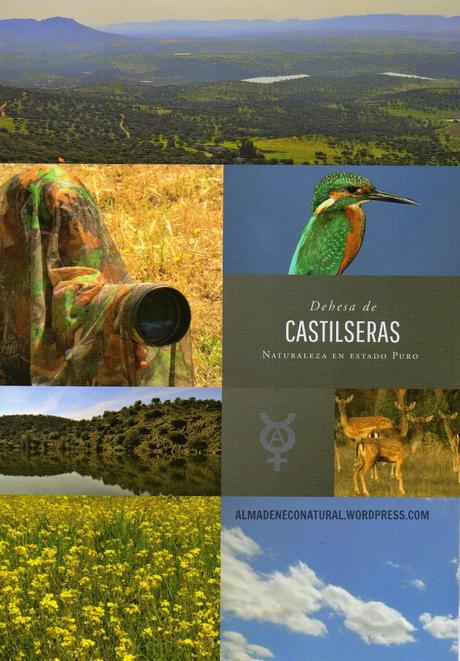 Guía de Turismo Ornitológico Dehesa de Castilseras (Ciudad Real)