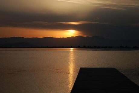 La vida y la muerte, simples  (y II)