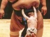 Fraude Ley. Hacienda recurre sentencia vuelve perder