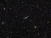 igualdad des-iguales dicha premura